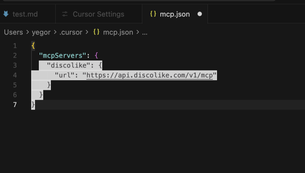mcp.json configuration
