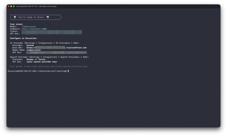 Final screen with tunnel URL, model name, and API key